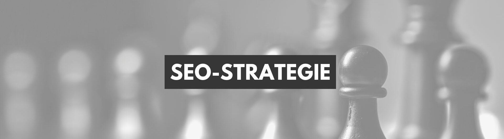 SEO-Strategie - datenbasiert.de
