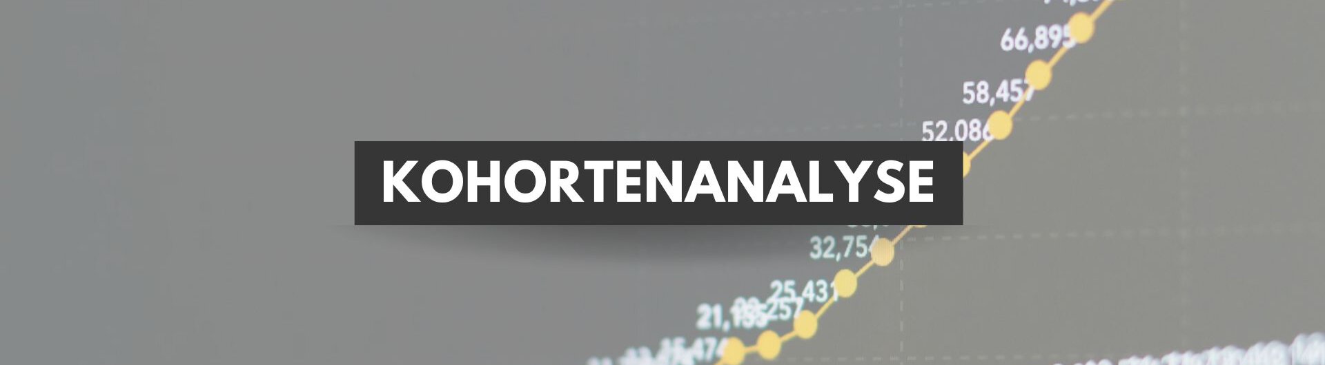 Kohortenanalyse erklärt von Segmentierung bis Retention