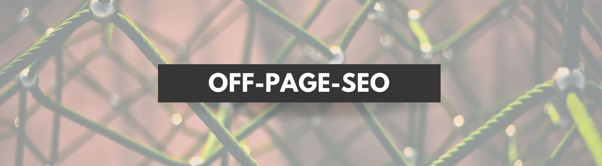 Off-Page-SEO richtig einsetzen und Ranking-Potenziale heben. Wir zeigen dir, welche Seitenelemente Priorität haben und wie du sie strukturierst.