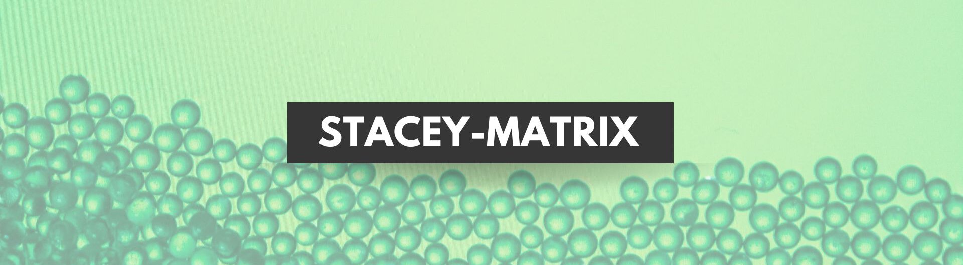 Stacey-Matrix im Projekt: schnell entscheiden mit System