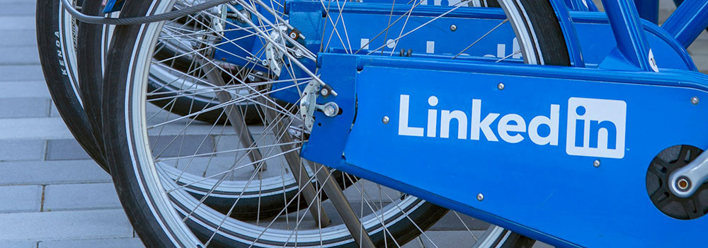 datenbasiert.de LinkedIn-Algorithmus